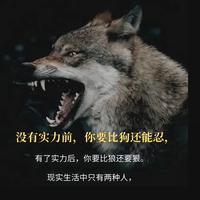 疯狂小劉哥头像