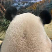 徐徐向的个人资料头像