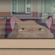 不止二进制的个人资料头像