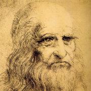 月亮住在广寒宫的个人资料头像