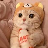 GGgrey头像