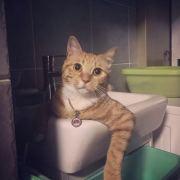 江斌V的个人资料头像