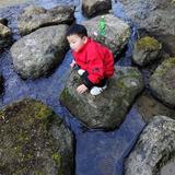 翁仁伟湖北平安电工头像