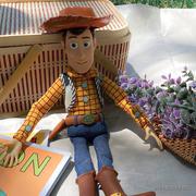 森眸暖光的个人资料头像