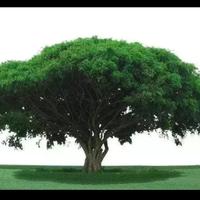 A还没想好3头像