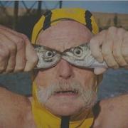 愤怒的佛手瓜的个人资料头像