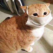 全村的希望728的个人资料头像