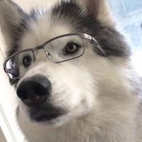 为什么不问问神奇海螺呢733头像