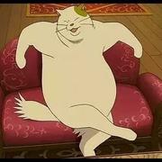 人生路且长的个人资料头像