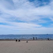 小白____的个人资料头像