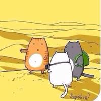 用户拒接了你的电话头像