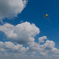 用户9497779414719头像