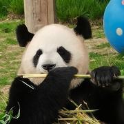 无烦恼282的个人资料头像
