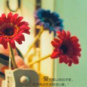 happycc的个人资料头像