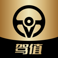 驾值V头像