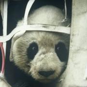 Joe806的个人资料头像