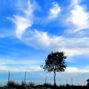 三部日记头像