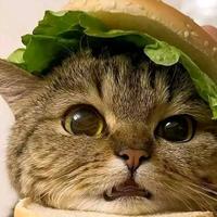 运动便利店头像