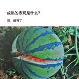 人间只道黄金贵头像