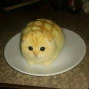 俺不中嘞嘞的个人资料头像