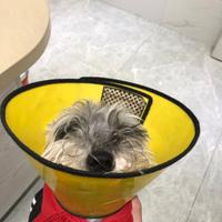 用户3671742156550头像