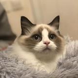 带你看海丶头像