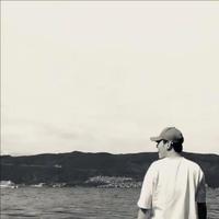 高级鲸鱼1W3头像