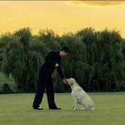 姚浅疏的个人资料头像