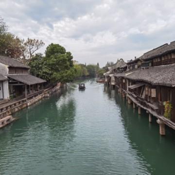 遨游的飞翔头像