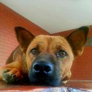 atong395的个人资料头像