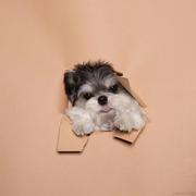 Herer_c的个人资料头像