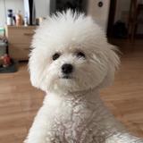 无敌yu头像