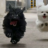 用户6793588110838头像