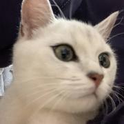 Jesse871的个人资料头像