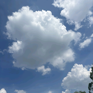 象棋云顶之弈头像