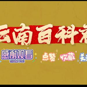 云南百科君头像