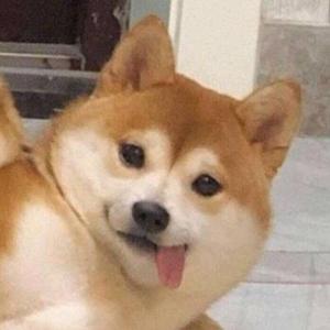 chk比不过child头像