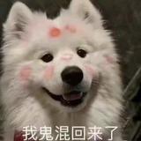 白画黑影头像