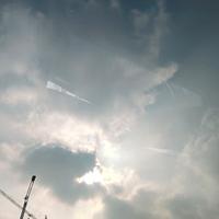 用户6175495909272头像