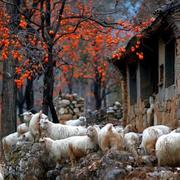 用户9097434015013的个人资料头像