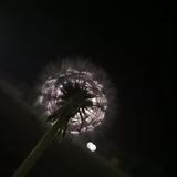 用户4908136153239头像