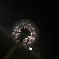 用户4908136153239头像