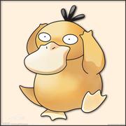 LamJerry的个人资料头像