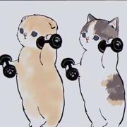 逐流亦好的个人资料头像