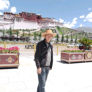 大方华哥爱旅行头像