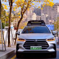 爱露营的大米爸爸头像