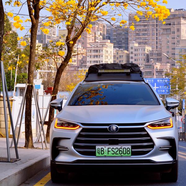 爱露营的大米爸爸头像