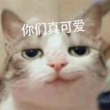 被遐想勒索头像