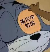 摸鱼小王的个人资料头像