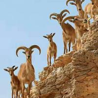 往事如烟6280681551895头像